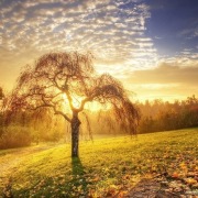 卷首語：希望的春天在路上