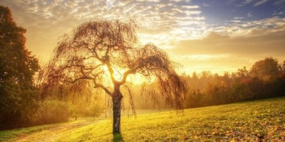 卷首語：希望的春天在路上