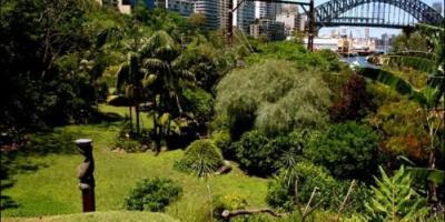 秘密花園的秘密