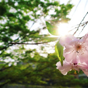 編後語：願「疫境下的城市風景」成為過去