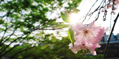 編後語：願「疫境下的城市風景」成為過去