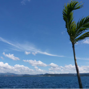 同一片天空，我們都被籠罩著