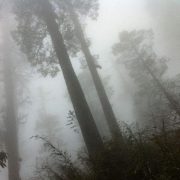 抹不去的記憶 (外一首)