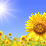 二○二○的武漢