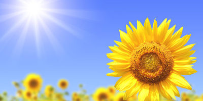 二○二○的武漢