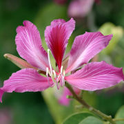 八七六．三地飛歌