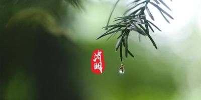 清明，泠泠雨落下