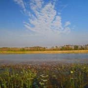 這樣的洋河，我不曾夢見（外二首）