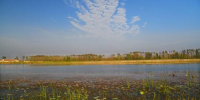 這樣的洋河，我不曾夢見（外二首）