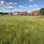 六月，陽光明媚