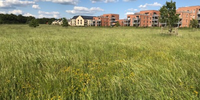 六月，陽光明媚