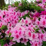 你能把心安靜下來嗎？