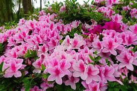 你能把心安靜下來嗎？