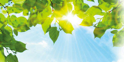 庚子．午月的青陽