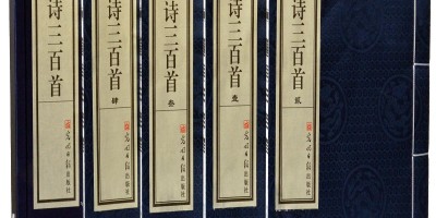 夏天正是讀書天