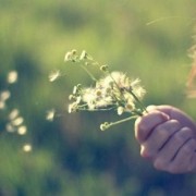 卷首語：相約今夏