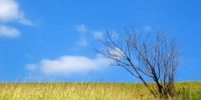 編後語：自強不屈  逆境前行