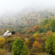 與石頭對話（外一首）