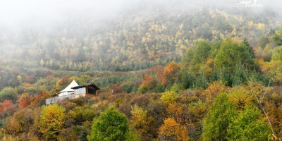 與石頭對話（外一首）