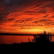 七月流火（外一首）