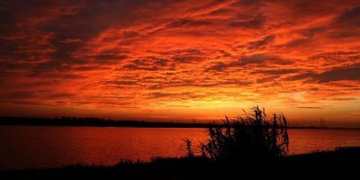 七月流火（外一首）