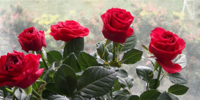 萬里連根（外一首）