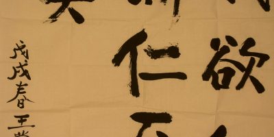 王蒙：我欲仁斯仁至矣