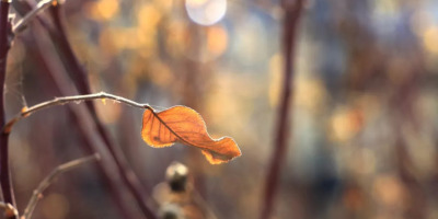 不要固執地惦記春天