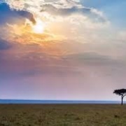 犁青屬於世界的──從犁青反戰詩歌中的審美談起