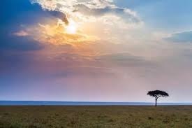 犁青屬於世界的──從犁青反戰詩歌中的審美談起