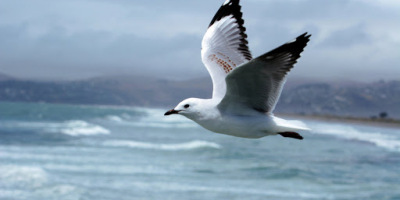 時代（外一首）