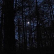 歲月短歌（組詩）