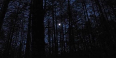 歲月短歌（組詩）