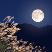 編後語：不住的思念