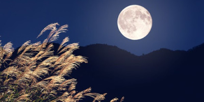 編後語：不住的思念