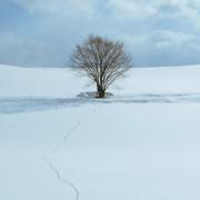 《香港作家》網絡版第六期（2020年12月號）徵稿