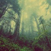 漁家傲．疫情爆發宿舍隔離後有感（外一首）         