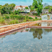 大海擁抱的西貢