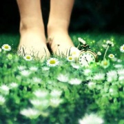 路──悼王茵老師