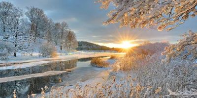 編後語：獻給在不一樣的冬天、不一樣的一年中熱愛文學的你