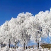 卷首語：藉著文學，我們輕輕飛過時間的皺褶