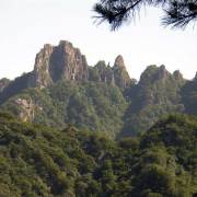 讀書環境將涸，「魚類」相濡以沫——一個作聯同人獻曝