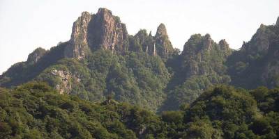 讀書環境將涸，「魚類」相濡以沫——一個作聯同人獻曝