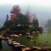 靈性高處的極致精神到生命本源的蔚藍風景 ——淺析度姆洛妃的詩歌三個階段