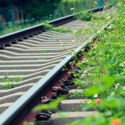 情義像鐵軌一樣長──悼穩哥