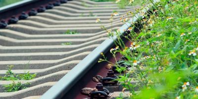 情義像鐵軌一樣長──悼穩哥