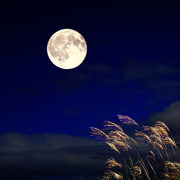 題項維仁《貂蟬拜月圖》