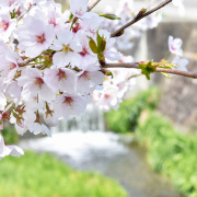 《香港作家》網絡版第八期（2021年4月號）徵稿