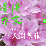《香港作家》網絡版第八期（2021年4月號）