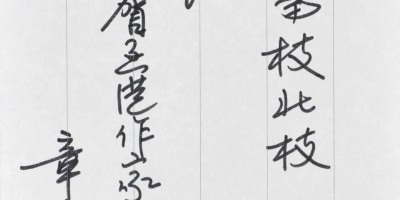 章詒和：不問南枝北枝  一樣葉綠花紅